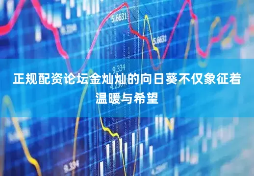 正规配资论坛金灿灿的向日葵不仅象征着温暖与希望
