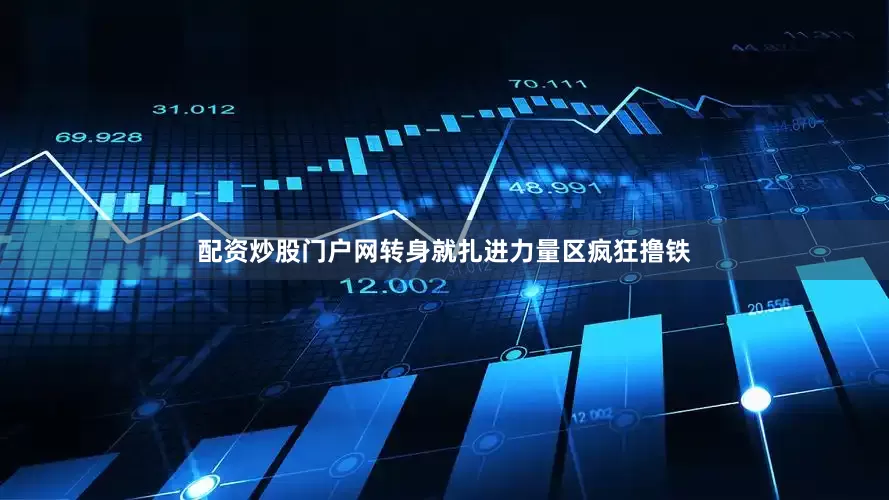 配资炒股门户网转身就扎进力量区疯狂撸铁