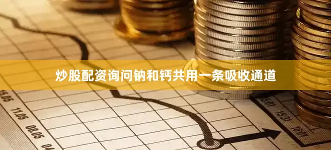 炒股配资询问钠和钙共用一条吸收通道
