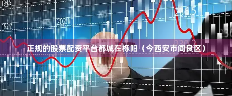 正规的股票配资平台都城在栎阳（今西安市阎良区）