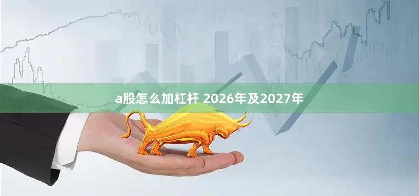 a股怎么加杠杆 2026年及2027年